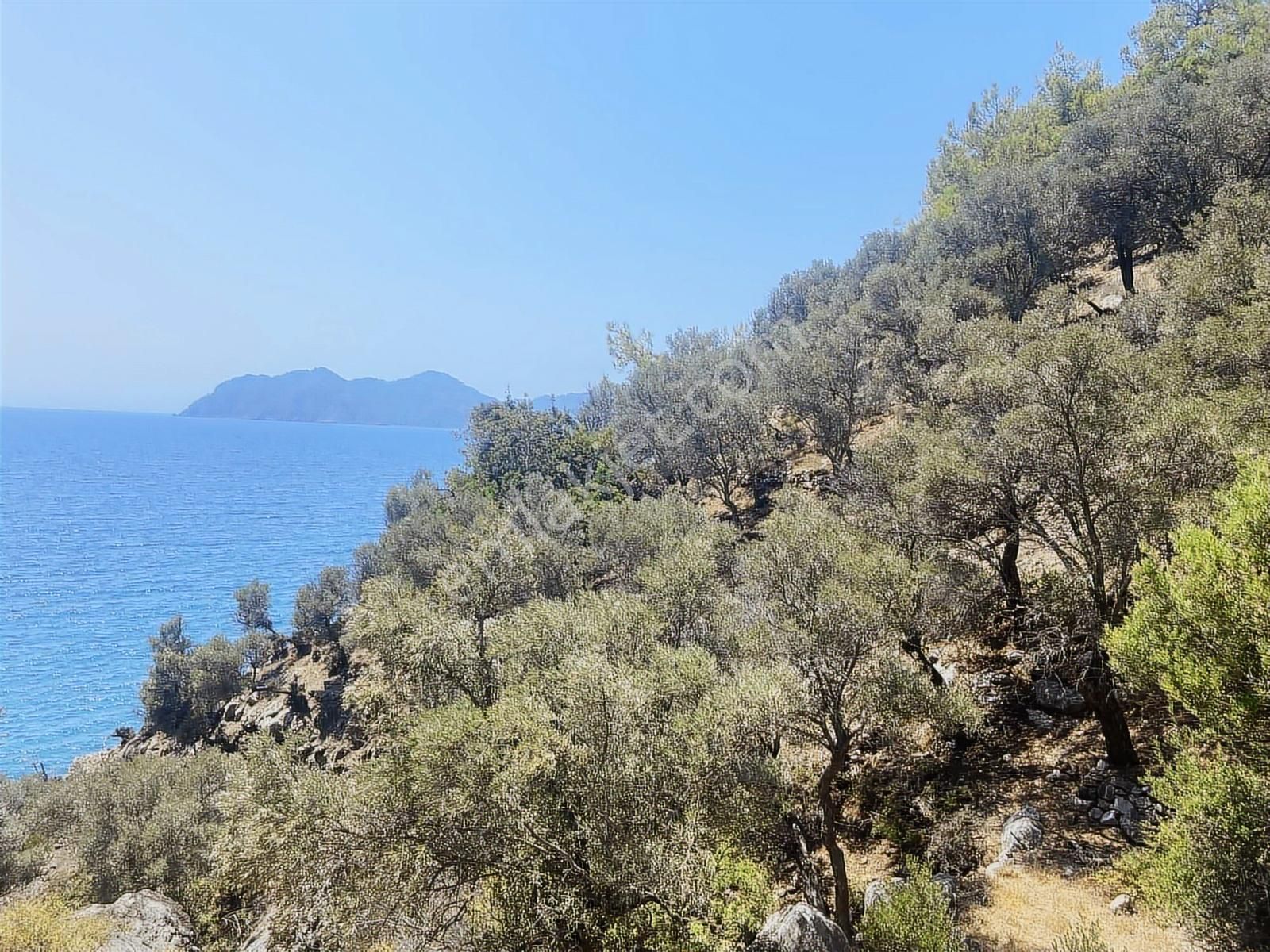 Nysa Emlak'tan Köyceğiz Çandır Mh Denize Sıfır 2.880 M2 2b Arazi - Görsel 7