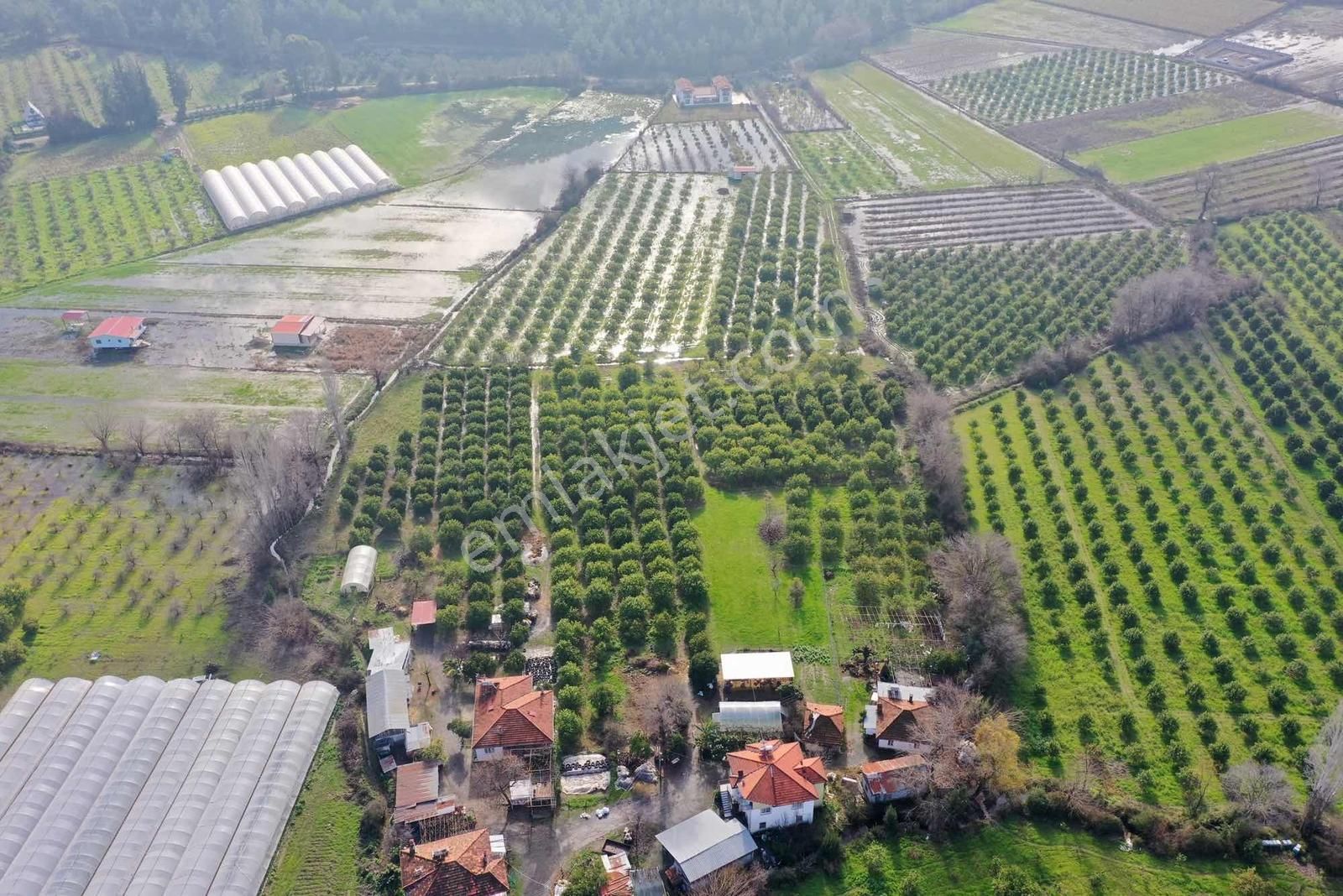 Okçular Mh Kadastrol Yolu Olan 495 M2 Satılık Hisseli Tarla - Görsel 7