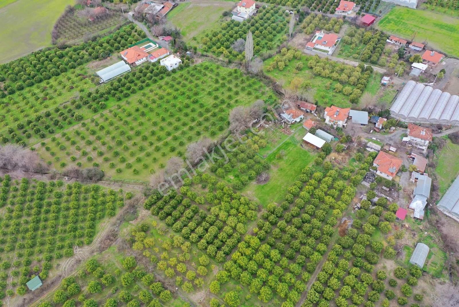 Okçular Mh Kadastrol Yolu Olan 495 M2 Satılık Hisseli Tarla - Görsel 6