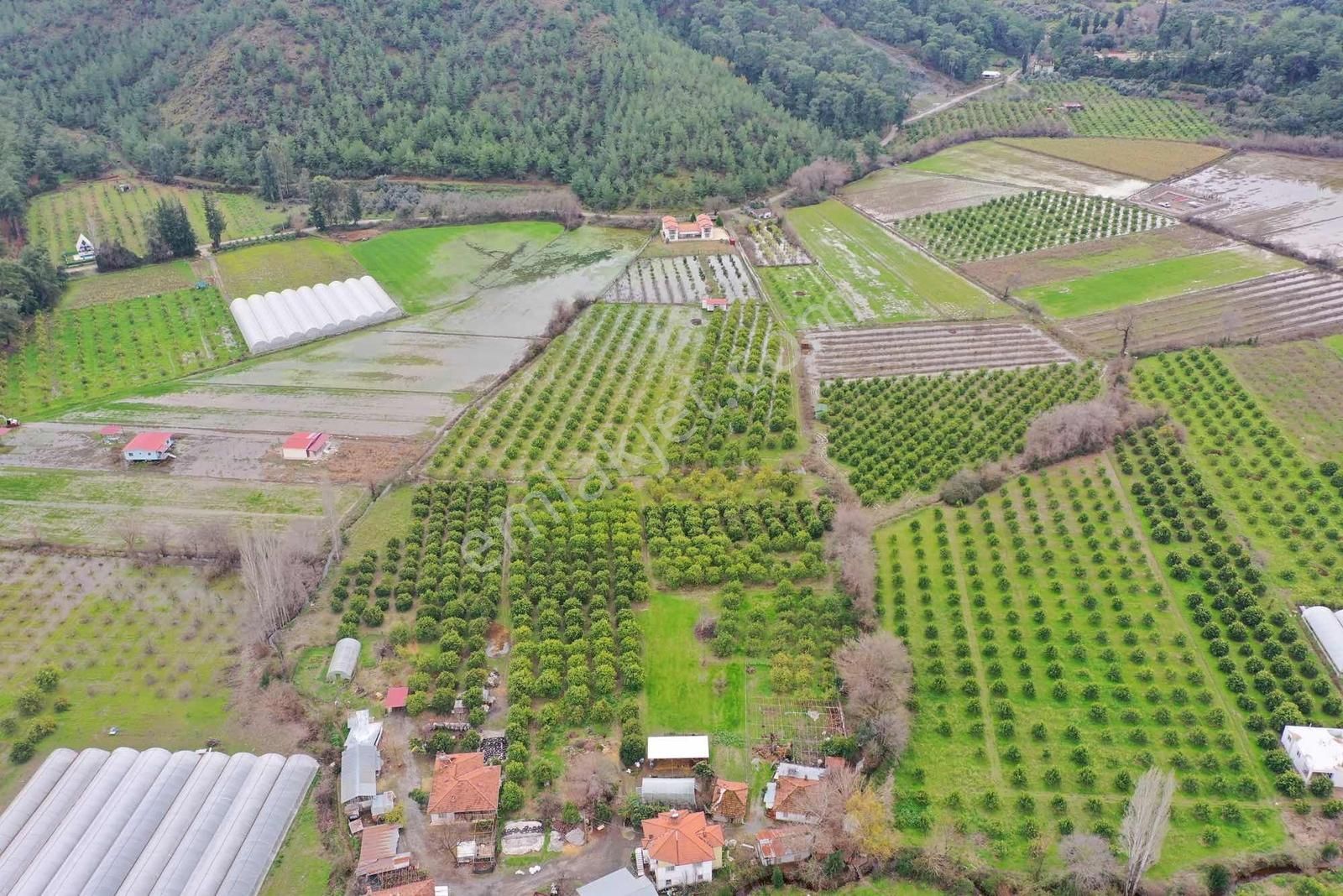 Okçular Mh Kadastrol Yolu Olan 495 M2 Satılık Hisseli Tarla - Görsel 4