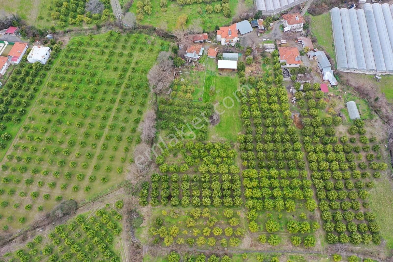 Okçular Mh Kadastrol Yolu Olan 495 M2 Satılık Hisseli Tarla - Görsel 11