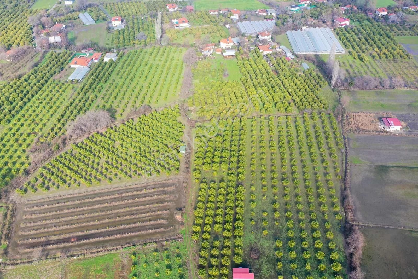 Okçular Mh Kadastrol Yolu Olan 495 M2 Satılık Hisseli Tarla - Görsel 10