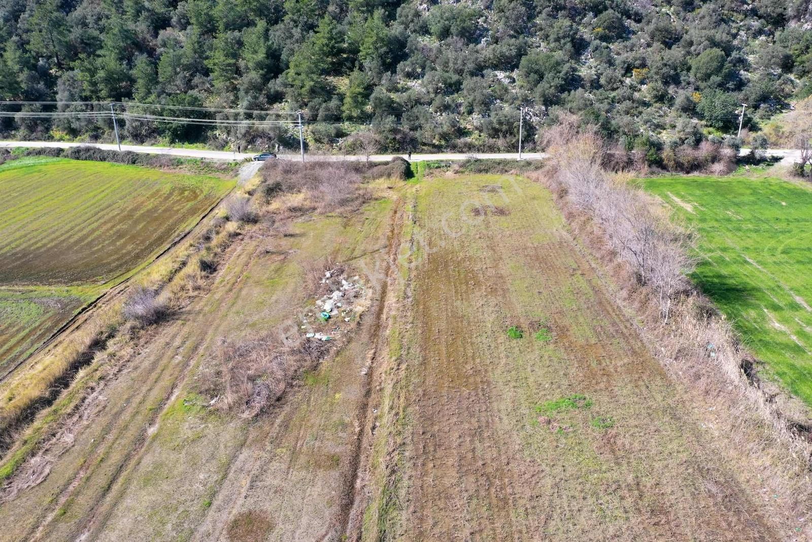 Nysa Emlak'tan Satılık 10.300 M2 Şahsi Tapu Tarla - Görsel 4