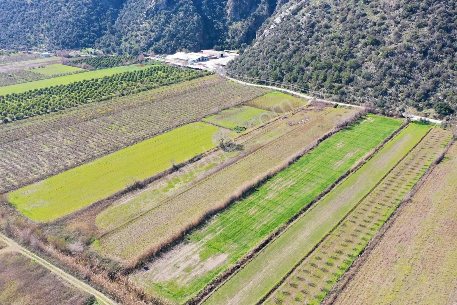 Nysa Emlak'tan Satılık 10.300 M2 Şahsi Tapu Tarla - Görsel 14