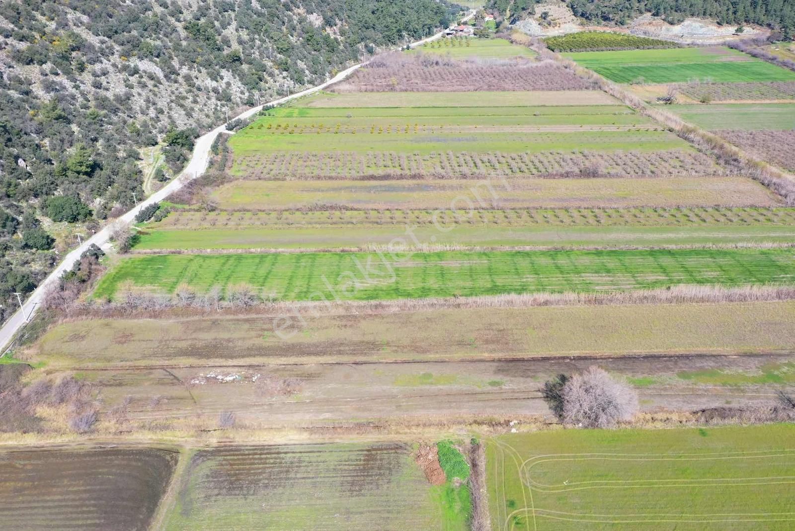 Nysa Emlak'tan Satılık 10.300 M2 Şahsi Tapu Tarla - Görsel 6
