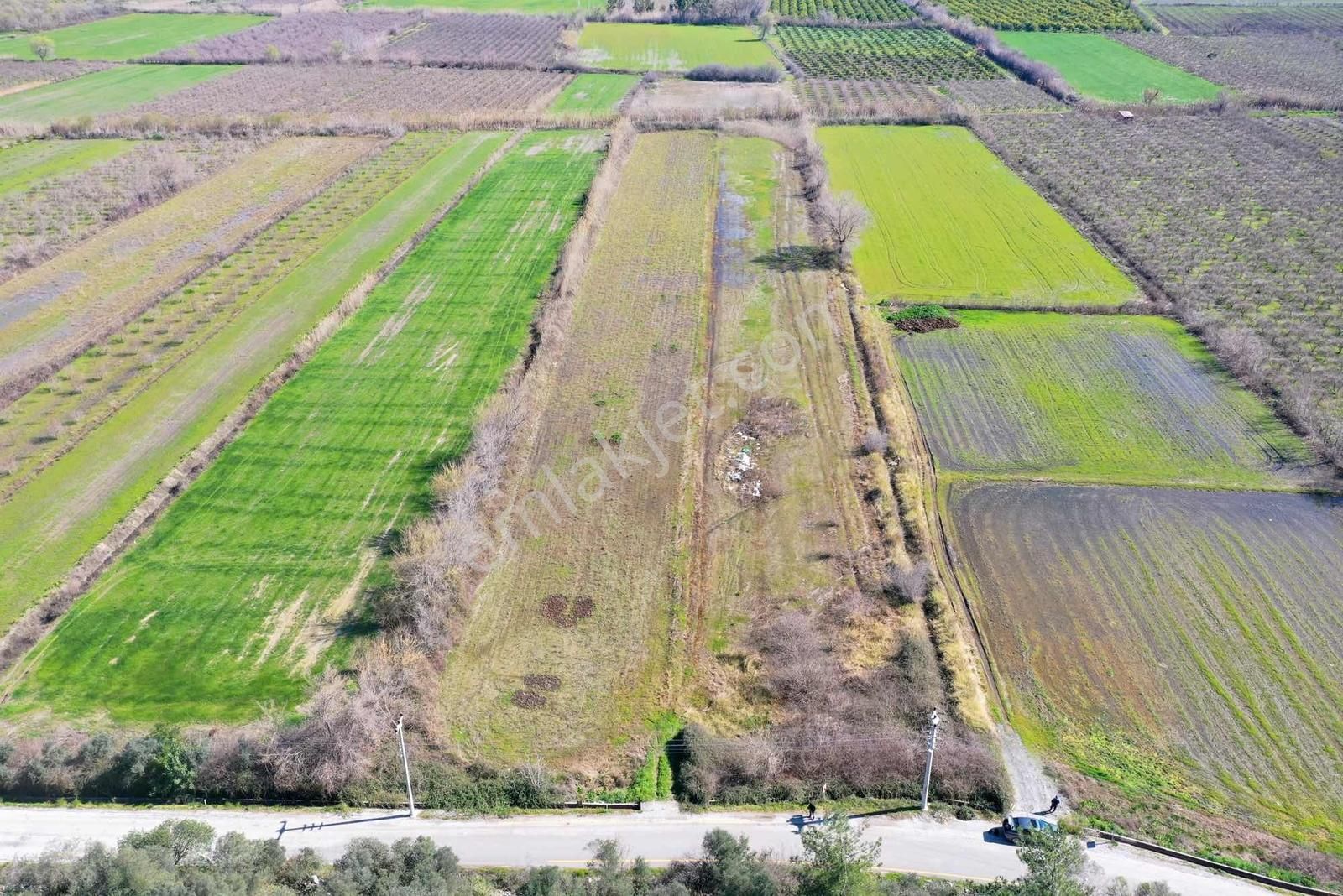 Nysa Emlak'tan Satılık 10.300 M2 Şahsi Tapu Tarla - Görsel 18