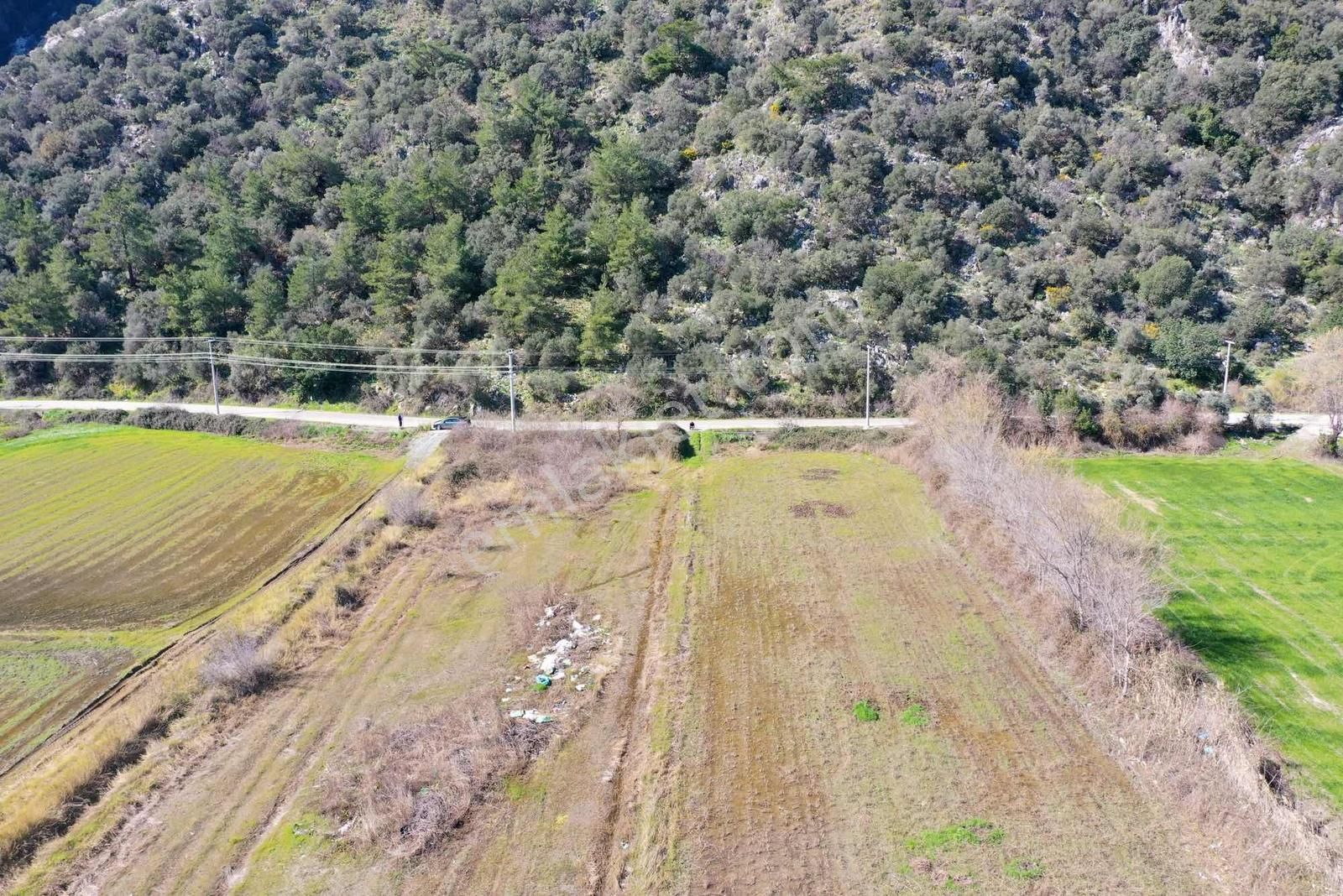Nysa Emlak'tan Satılık 10.300 M2 Şahsi Tapu Tarla - Görsel 11