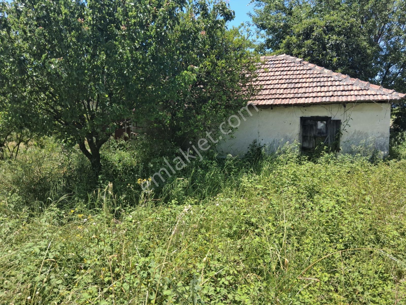 Nysa Emlak'tan 2 Tane Eski Yapı Bulunan Satılık Hisseli Tarla - Görsel 8