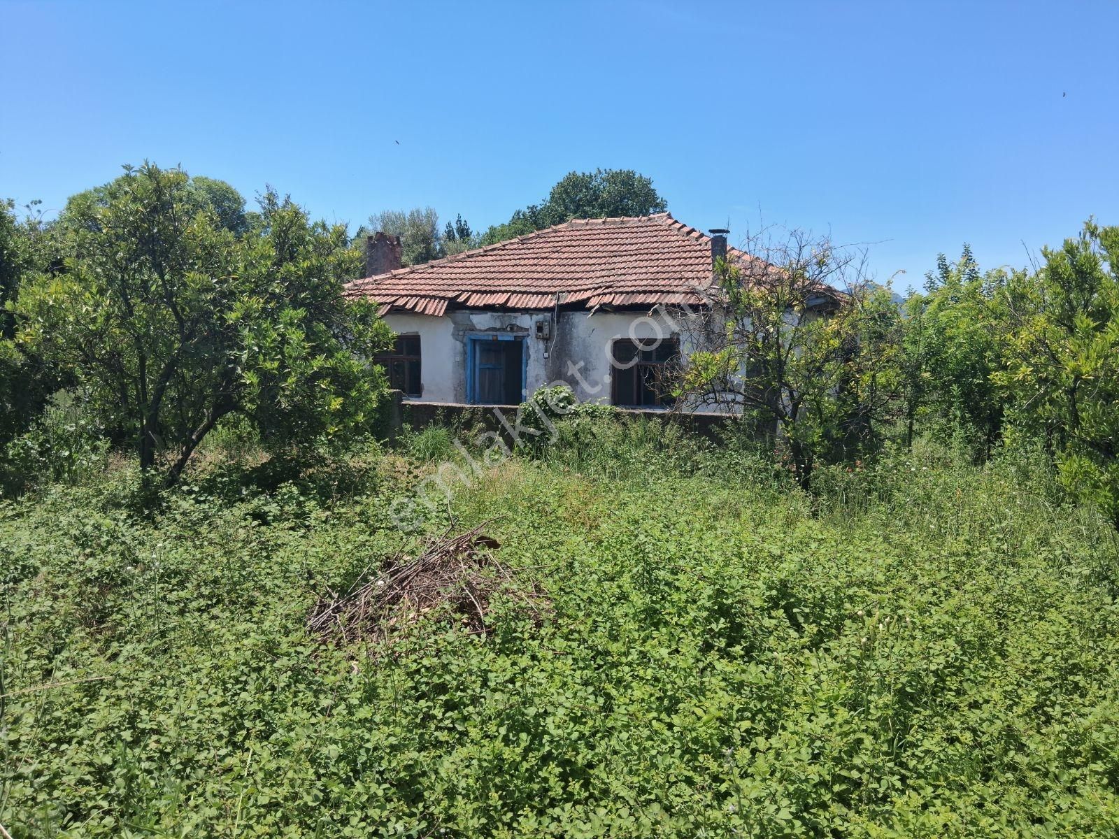 Nysa Emlak'tan 2 Tane Eski Yapı Bulunan Satılık Hisseli Tarla