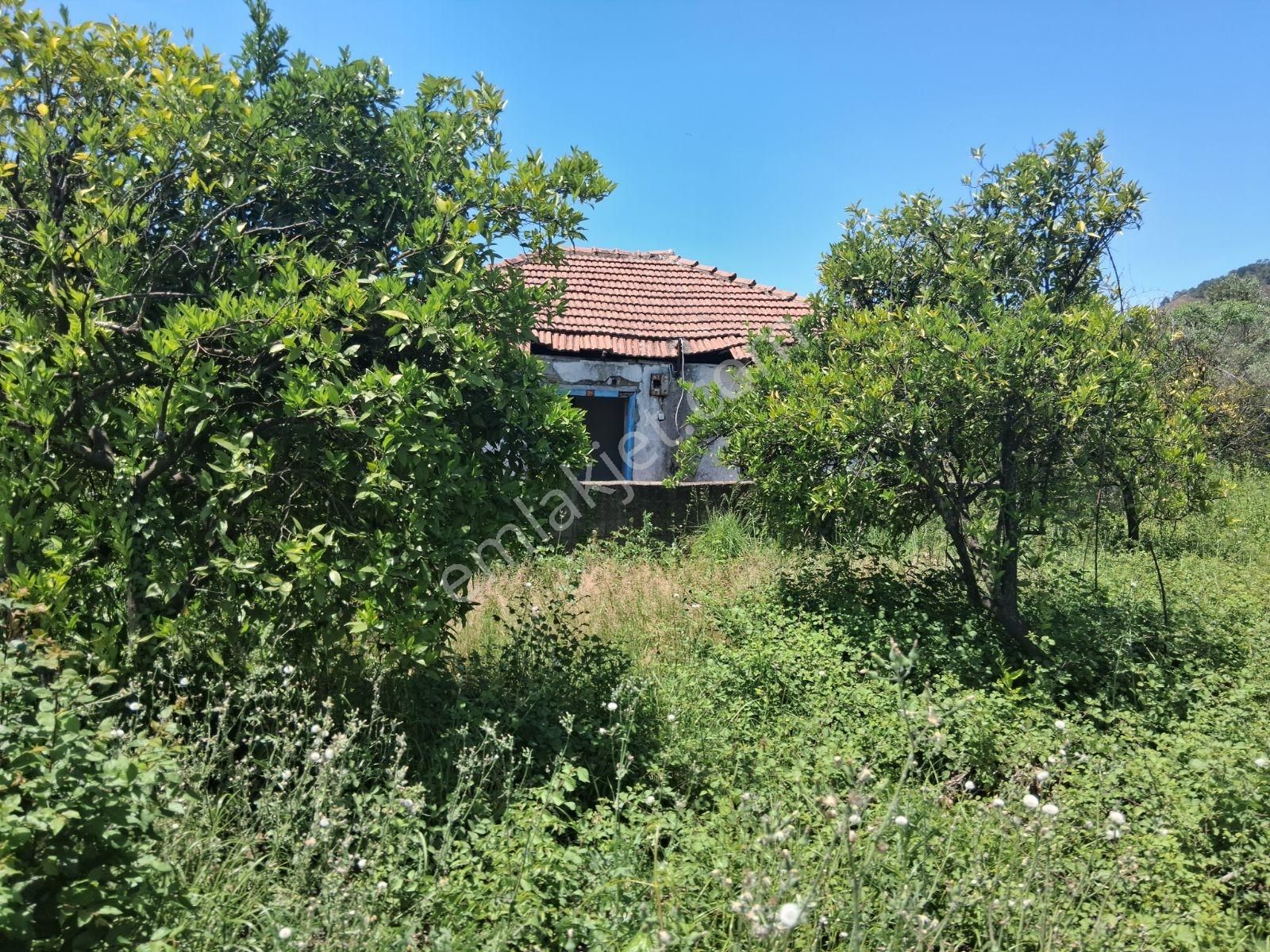 Nysa Emlak'tan 2 Tane Eski Yapı Bulunan Satılık Hisseli Tarla - Görsel 17