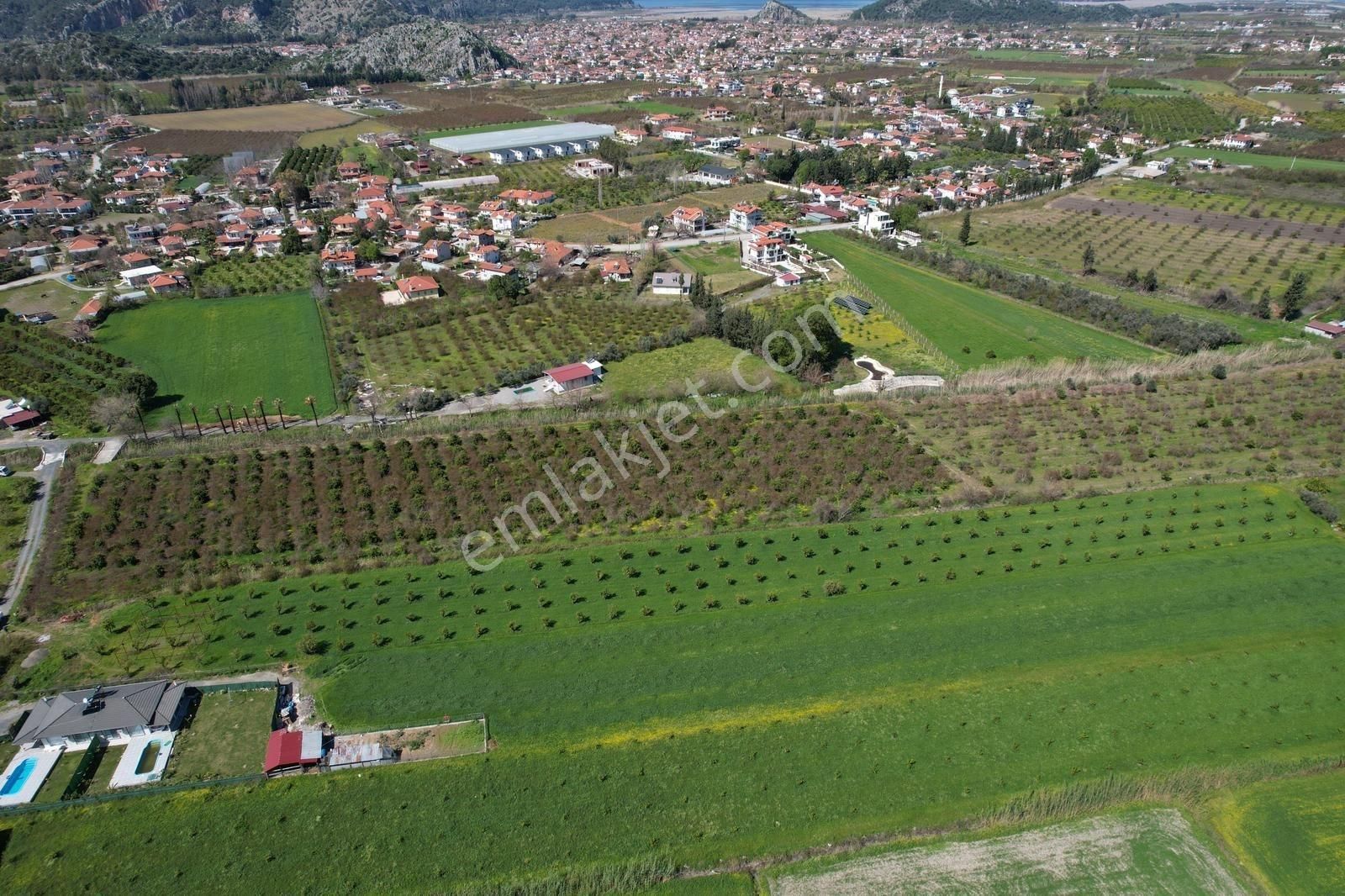Nysa Emlak'tan Dalyan Arıkbaşı Mh 6.600 M2 Şahsi Tapu Tarla - Görsel 13