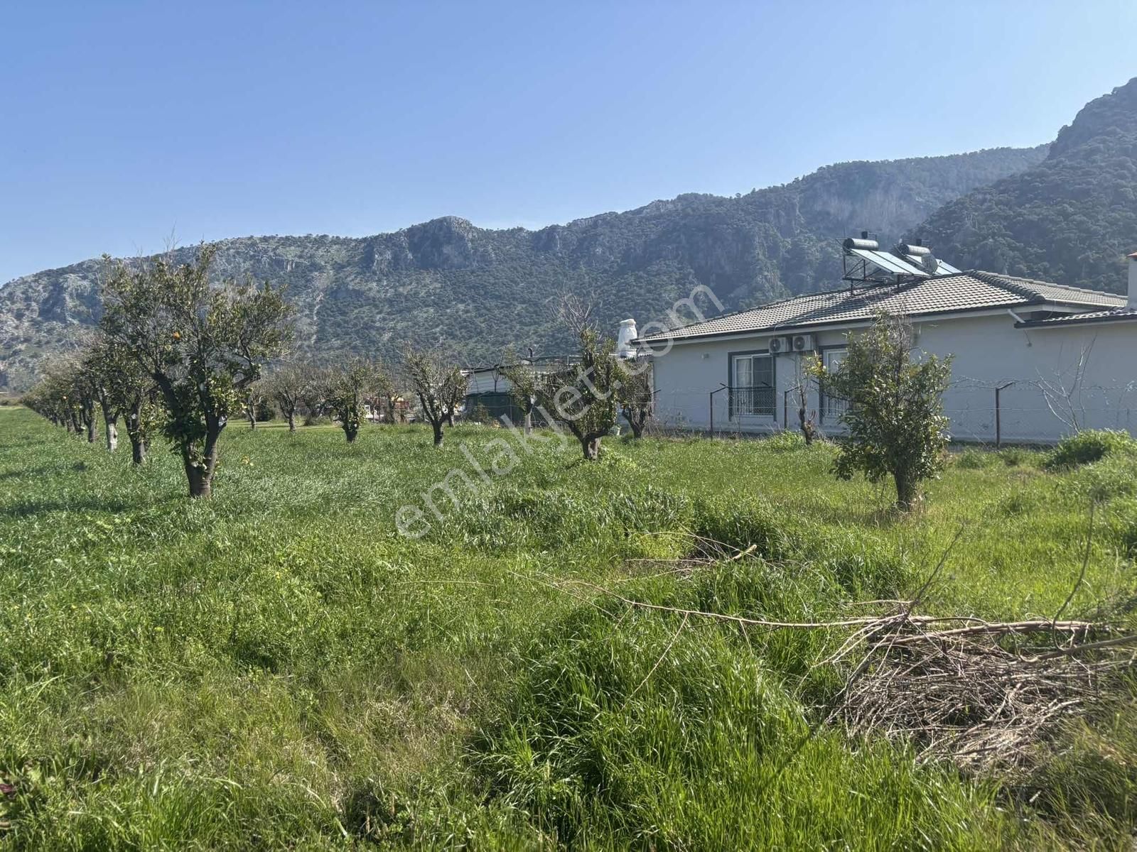 Nysa Emlak'tan Dalyan Arıkbaşı Mh 6.600 M2 Şahsi Tapu Tarla - Görsel 10