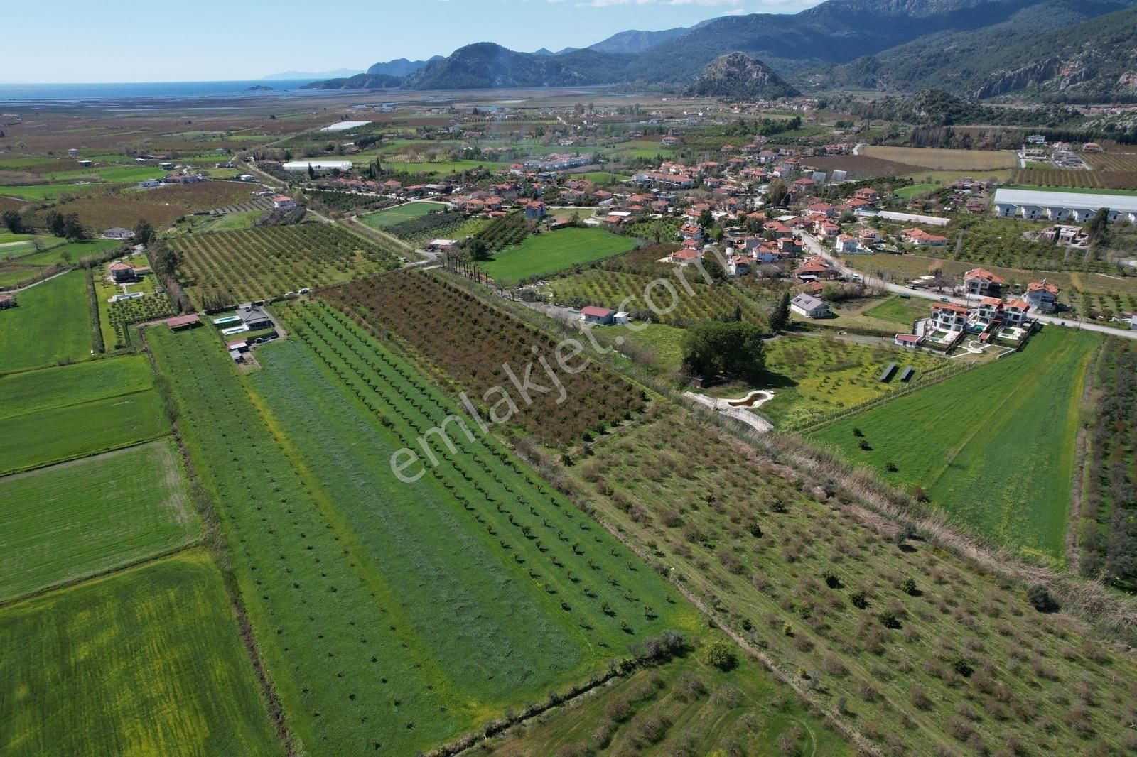 Nysa Emlak'tan Dalyan Arıkbaşı Mh 6.600 M2 Şahsi Tapu Tarla - Görsel 22