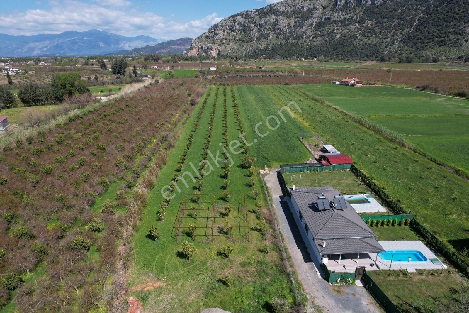 Nysa Emlak'tan Dalyan Arıkbaşı Mh 6.600 M2 Şahsi Tapu Tarla