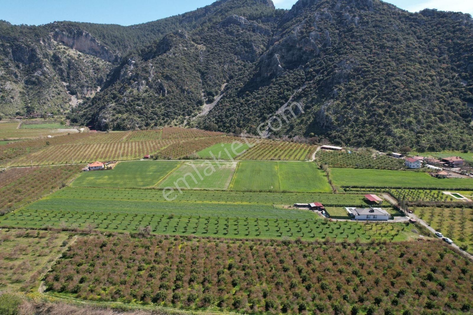 Nysa Emlak'tan Dalyan Arıkbaşı Mh 6.600 M2 Şahsi Tapu Tarla - Görsel 6