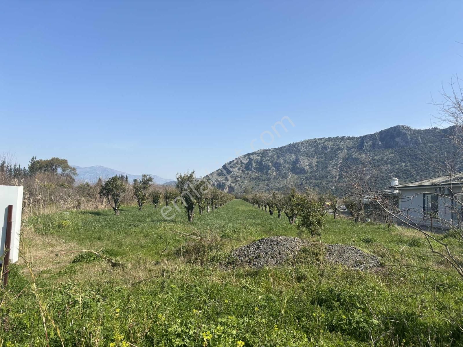 Nysa Emlak'tan Dalyan Arıkbaşı Mh 6.600 M2 Şahsi Tapu Tarla - Görsel 4