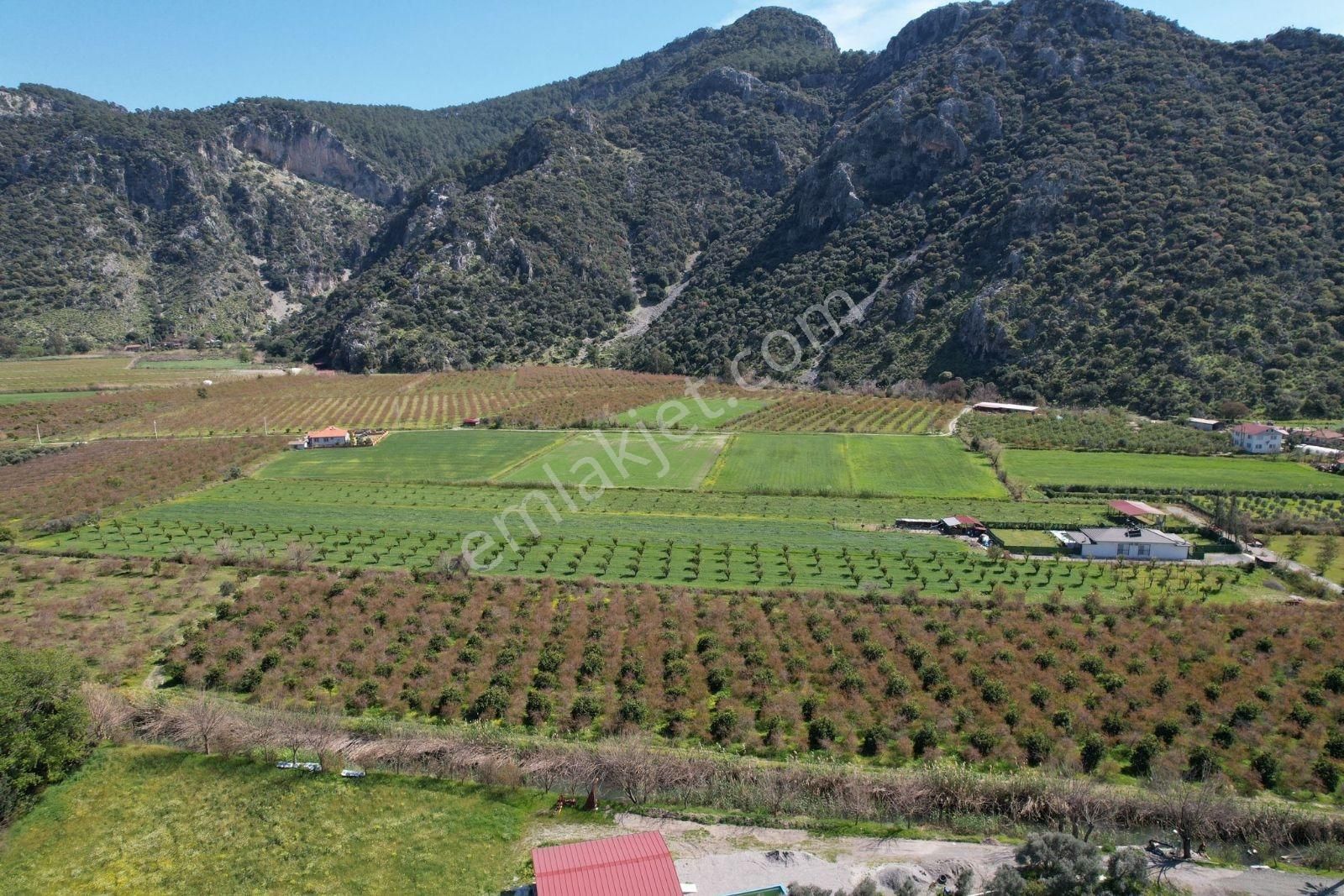 Nysa Emlak'tan Dalyan Arıkbaşı Mh 6.600 M2 Şahsi Tapu Tarla - Görsel 9
