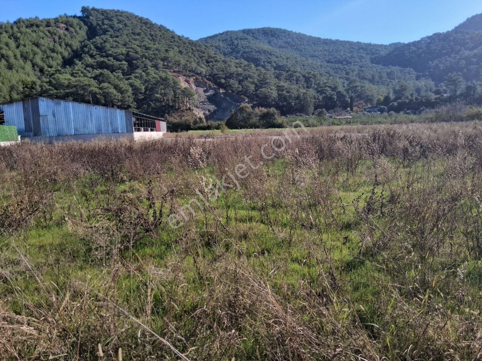 Nysa Emlak'tan 2.700 M2 Satılık Rızai Taksimli Hisseli Tarla - Görsel 16