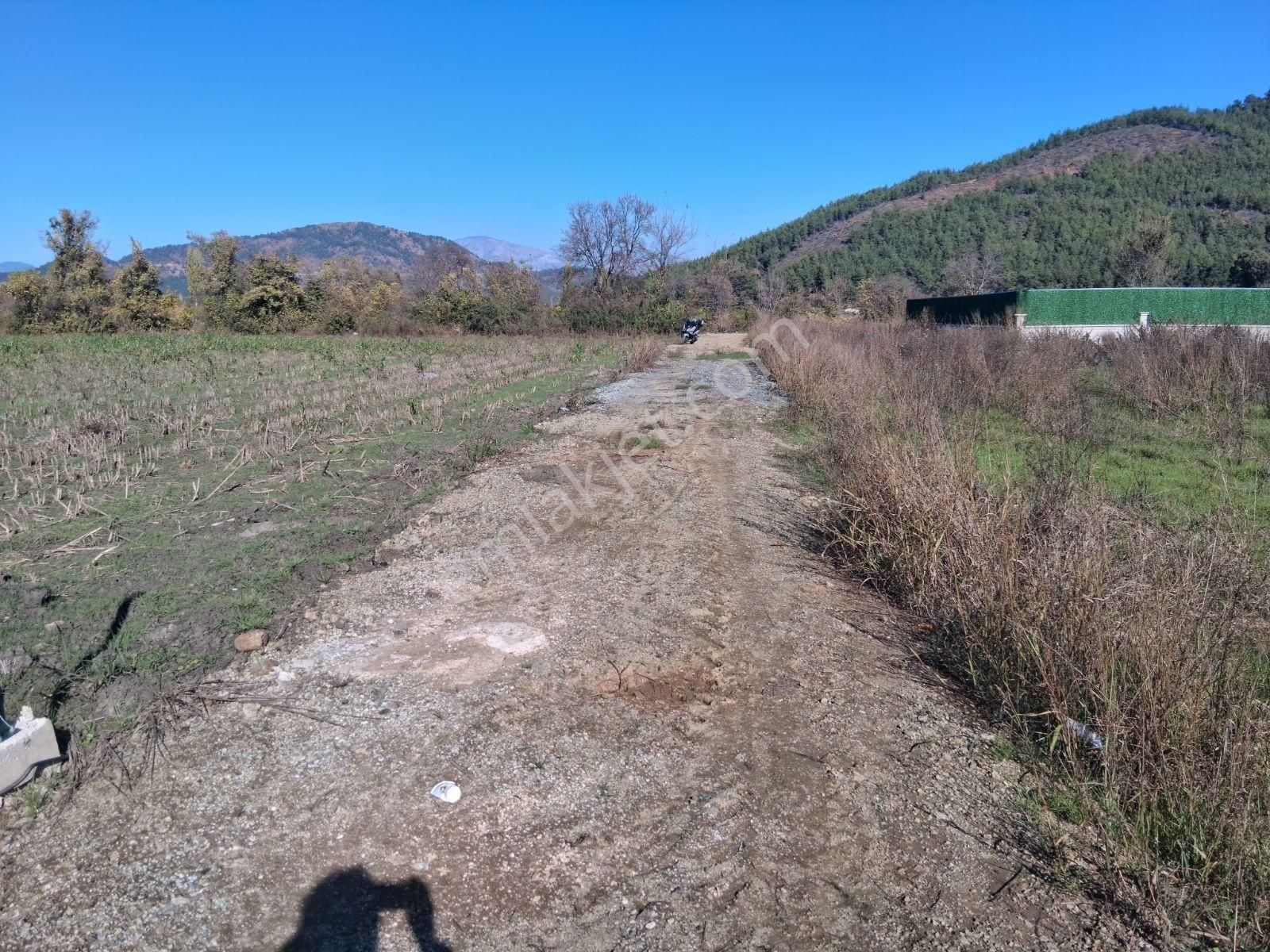 Nysa Emlak'tan 2.700 M2 Satılık Rızai Taksimli Hisseli Tarla - Görsel 4