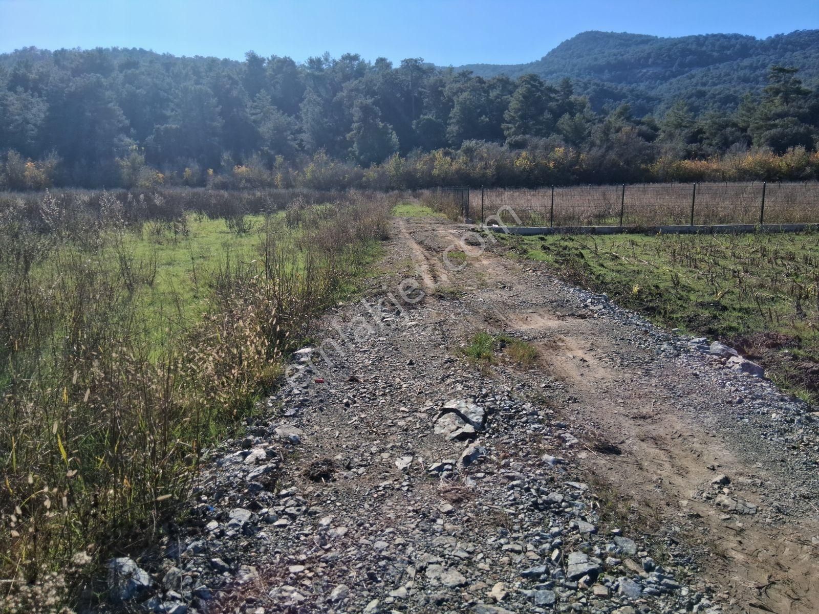 Nysa Emlak'tan 2.700 M2 Satılık Rızai Taksimli Hisseli Tarla - Görsel 2