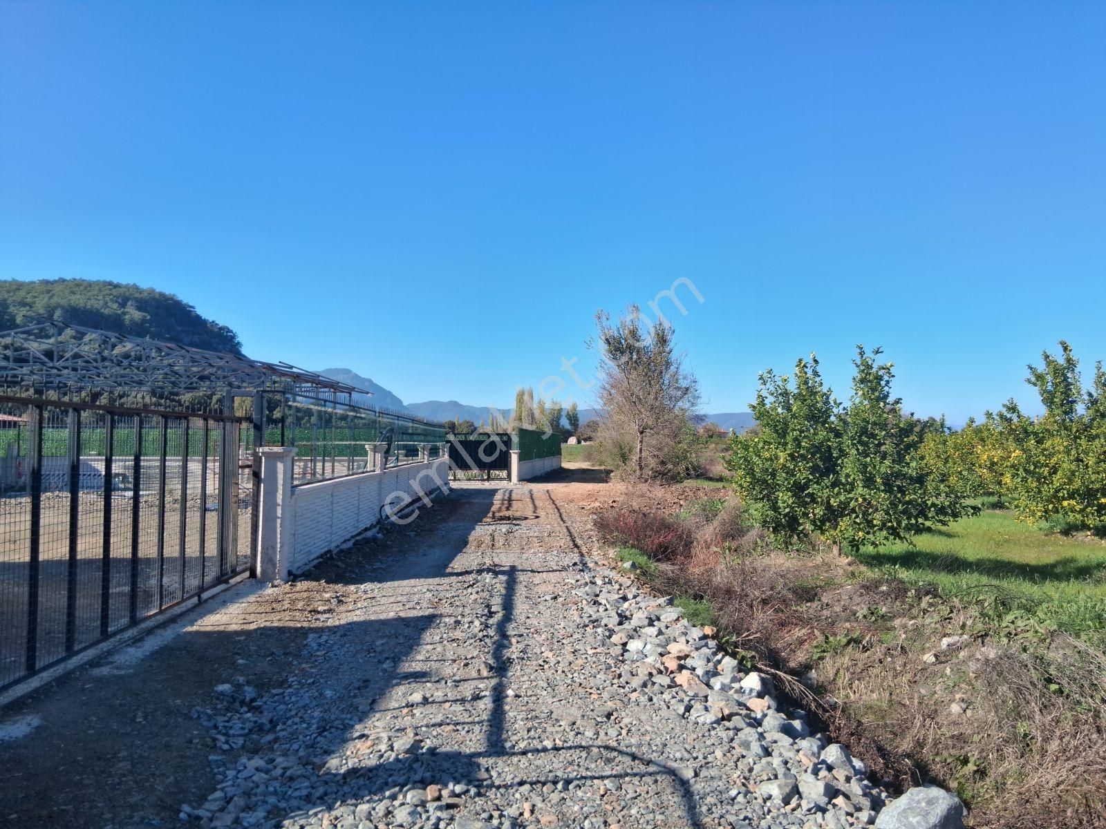 Nysa Emlak'tan 2.700 M2 Satılık Rızai Taksimli Hisseli Tarla - Görsel 7