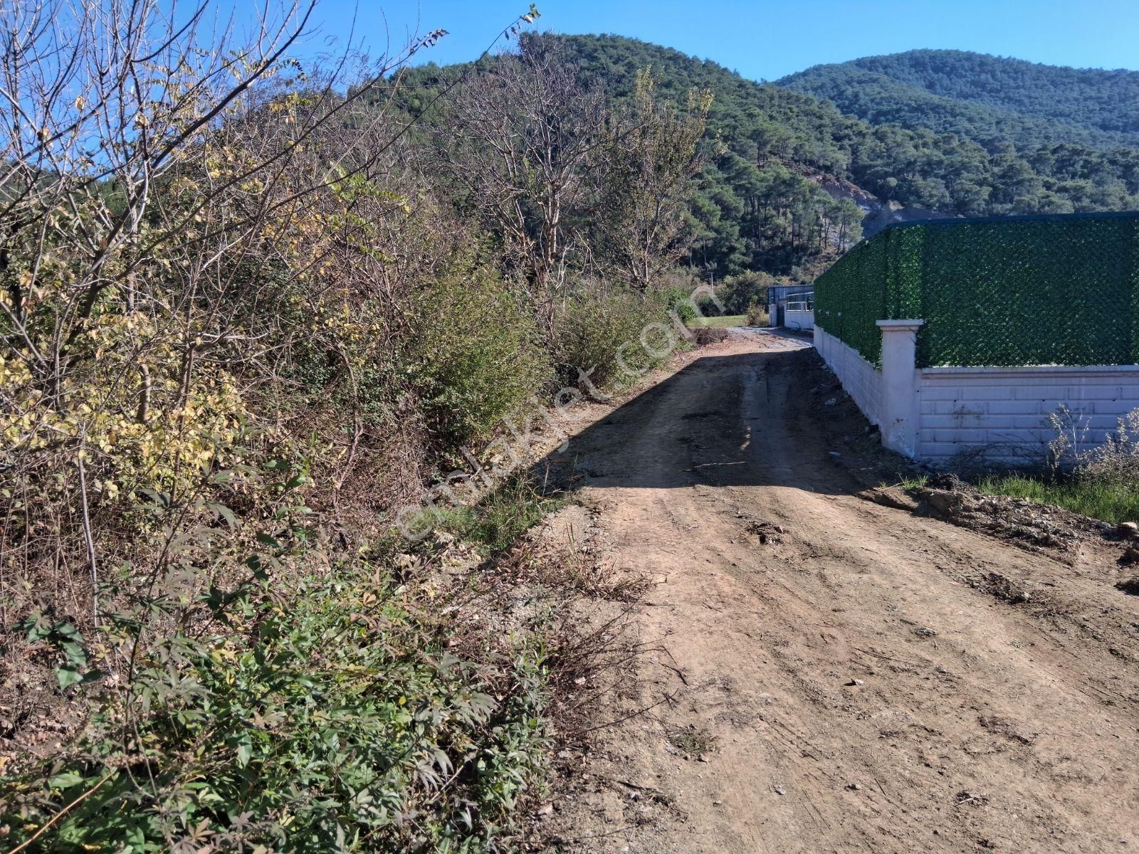 Nysa Emlak'tan 2.700 M2 Satılık Rızai Taksimli Hisseli Tarla - Görsel 3