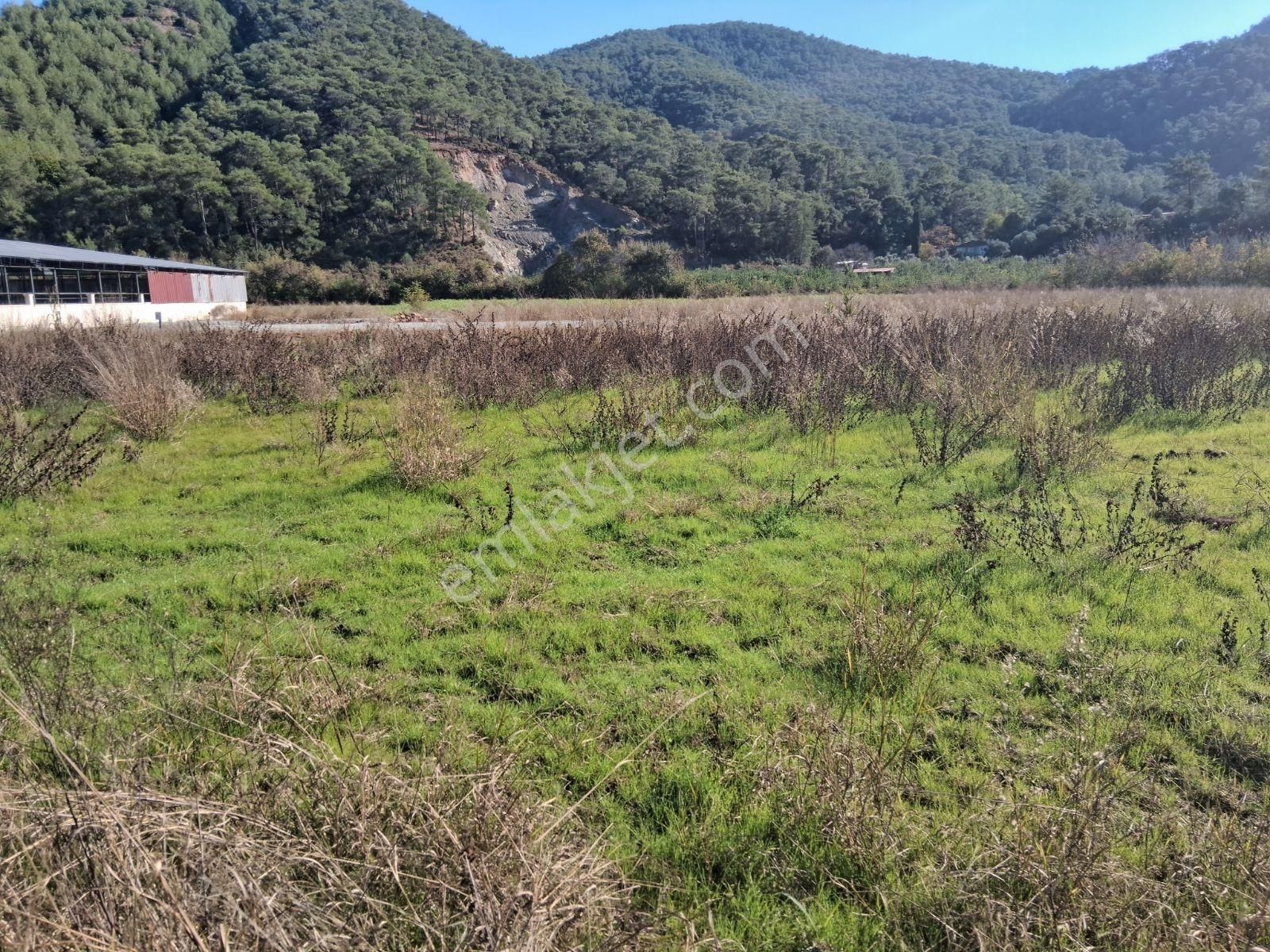 Nysa Emlak'tan 2.700 M2 Satılık Rızai Taksimli Hisseli Tarla - Görsel 18