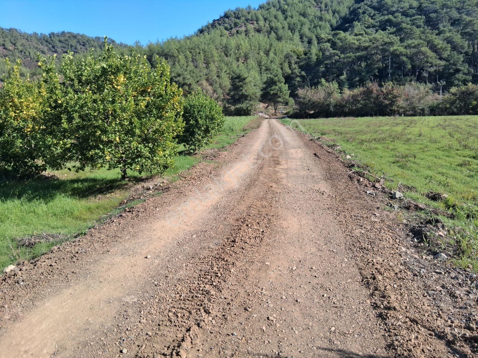 Nysa Emlak'tan 2.700 M2 Satılık Rızai Taksimli Hisseli Tarla - Görsel 11