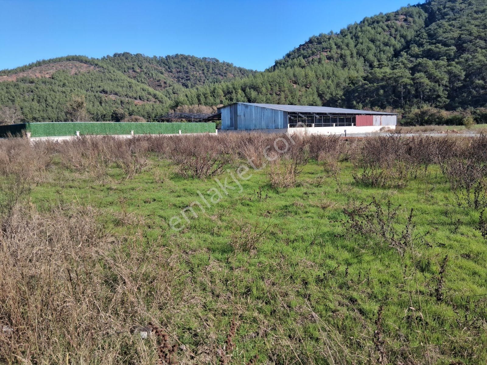 Nysa Emlak'tan 2.700 M2 Satılık Rızai Taksimli Hisseli Tarla - Görsel 5
