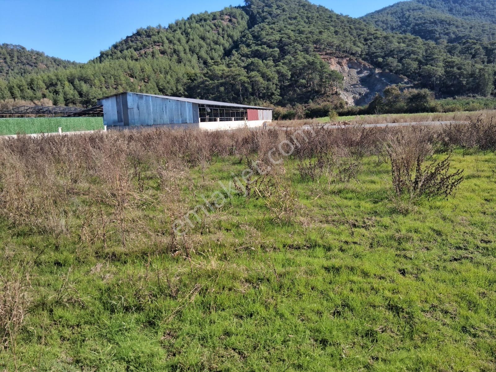 Nysa Emlak'tan 2.700 M2 Satılık Rızai Taksimli Hisseli Tarla