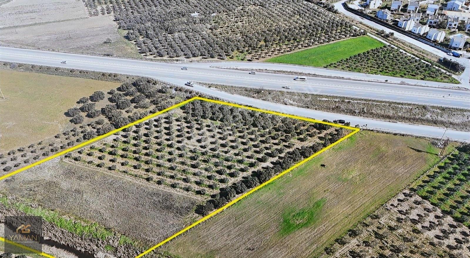 Medar Villalar Bölgesi'nde Anayola Cepheli 10.076 M² Zeytinlik - Görsel 27