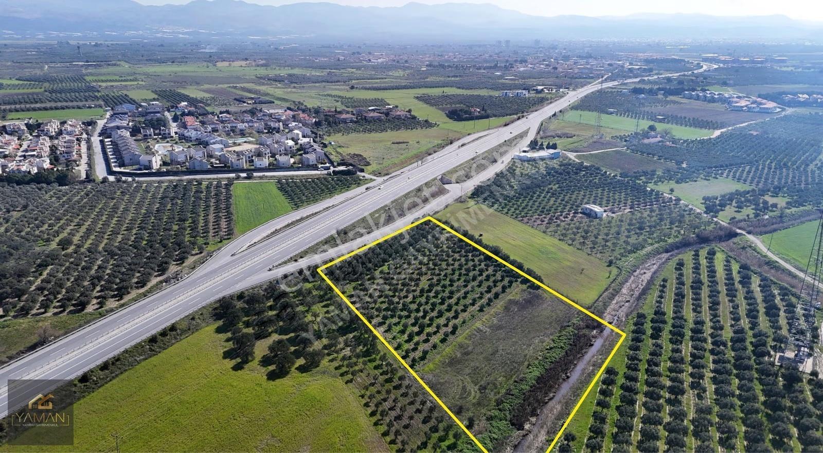 Medar Villalar Bölgesi'nde Anayola Cepheli 10.076 M² Zeytinlik - Görsel 14