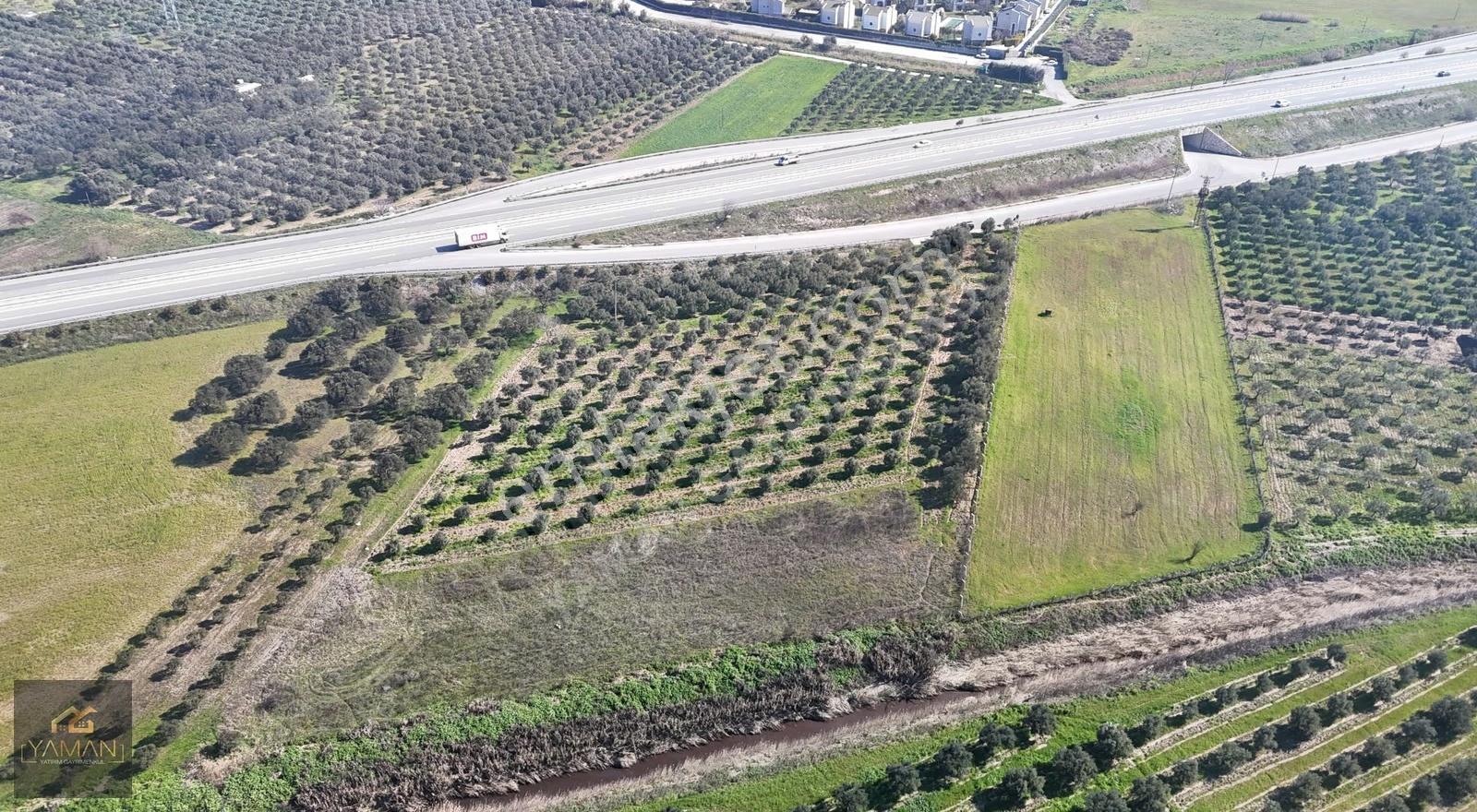 Medar Villalar Bölgesi'nde Anayola Cepheli 10.076 M² Zeytinlik - Görsel 32