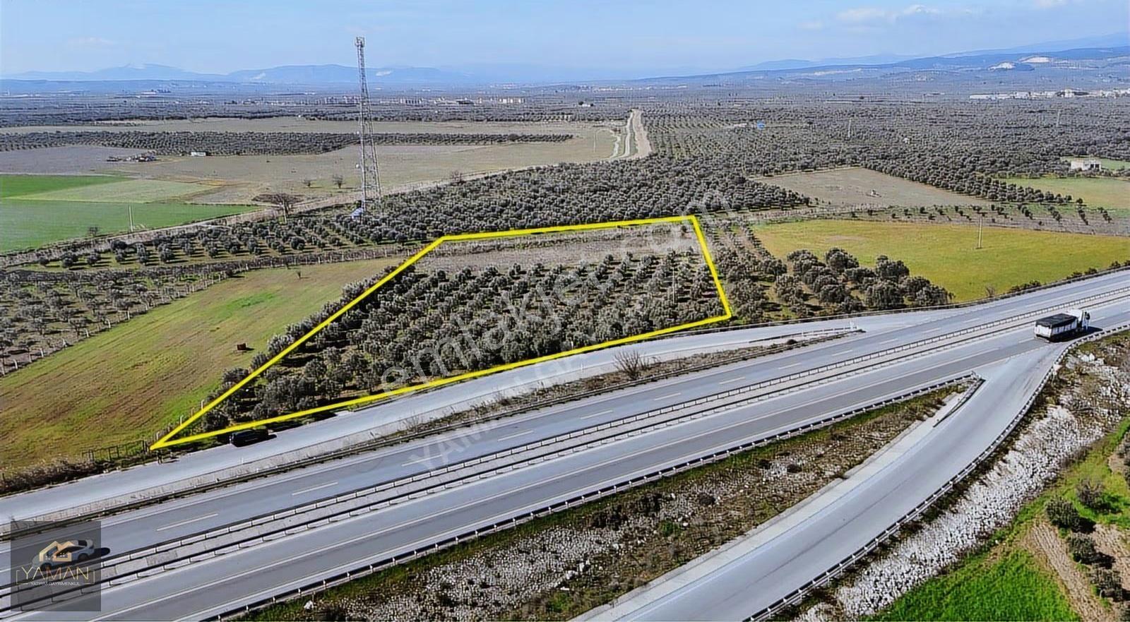 Medar Villalar Bölgesi'nde Anayola Cepheli 10.076 M² Zeytinlik - Görsel 11