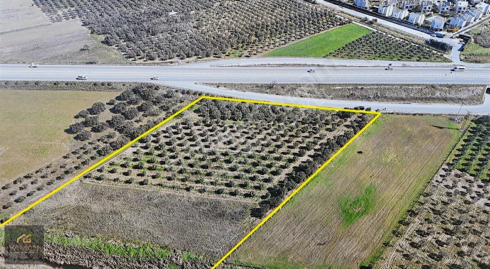 Medar Villalar Bölgesi'nde Anayola Cepheli 10.076 M² Zeytinlik - Görsel 23