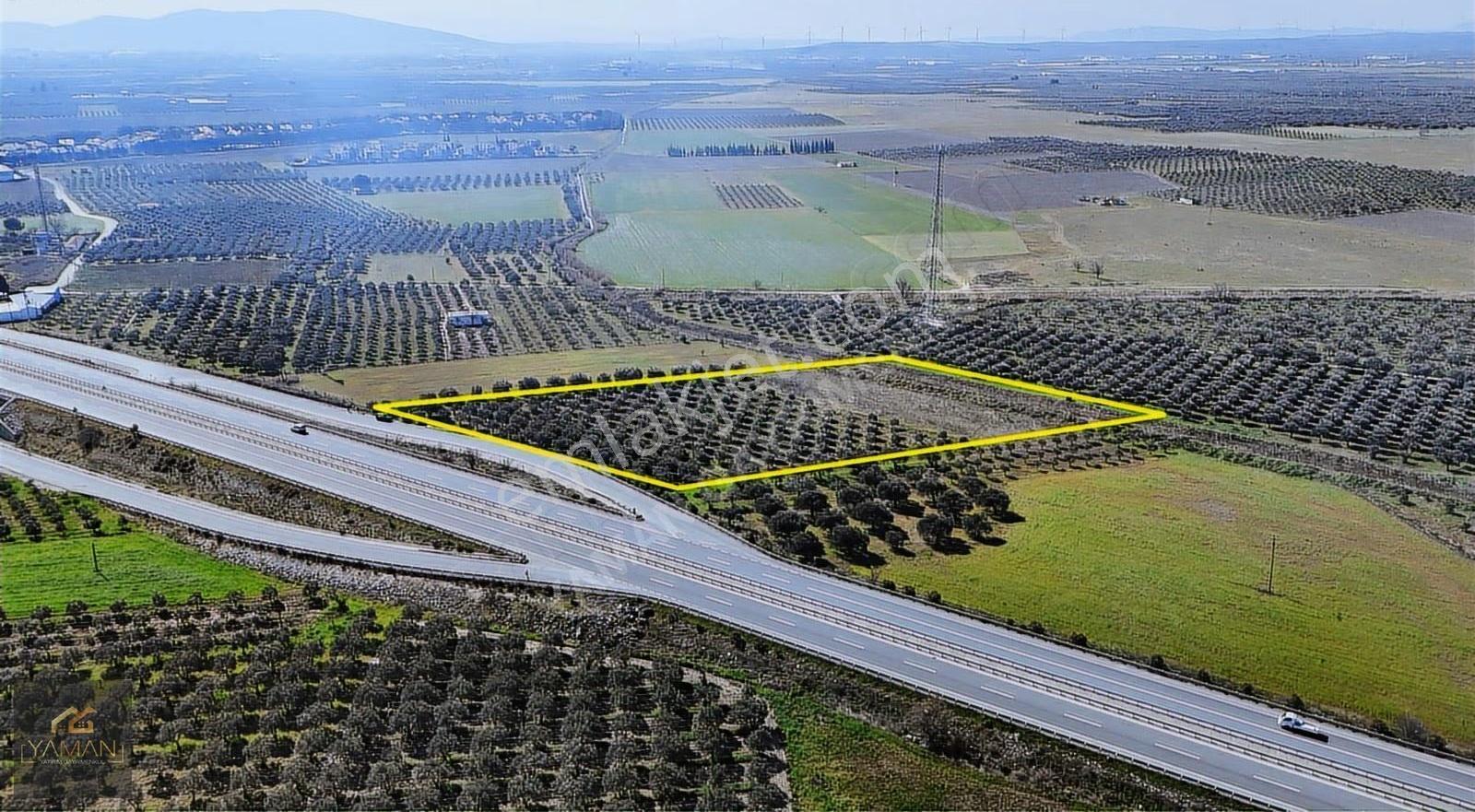 Medar Villalar Bölgesi'nde Anayola Cepheli 10.076 M² Zeytinlik - Görsel 29