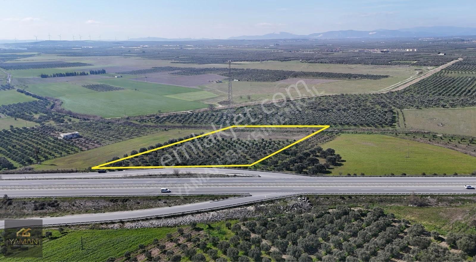 Medar Villalar Bölgesi'nde Anayola Cepheli 10.076 M² Zeytinlik - Görsel 15