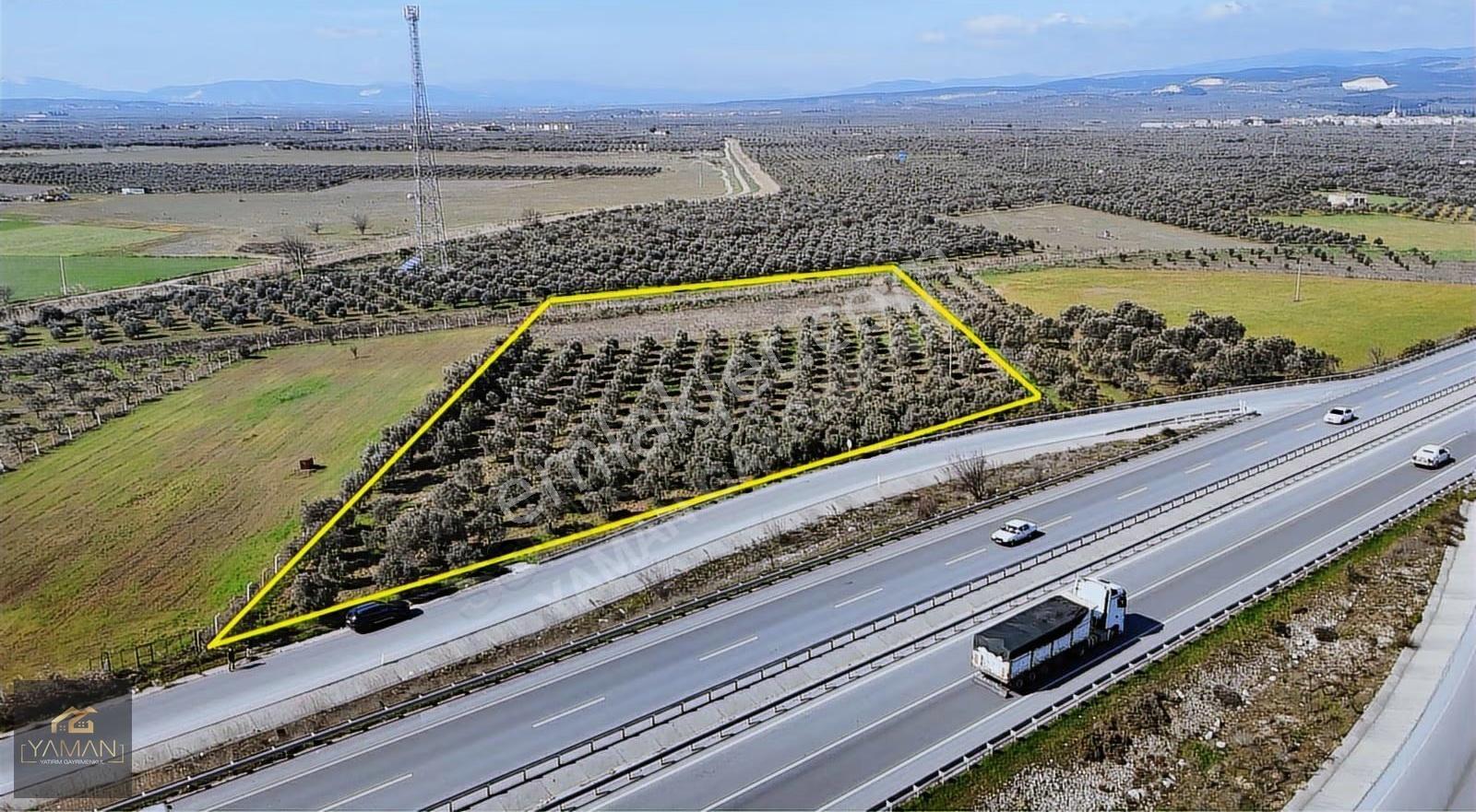 Medar Villalar Bölgesi'nde Anayola Cepheli 10.076 M² Zeytinlik - Görsel 10