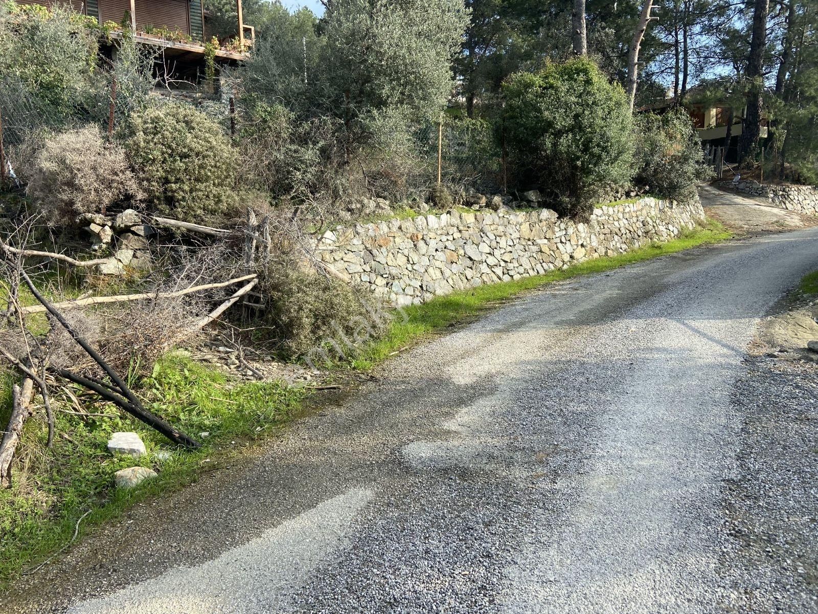 Nysa Emlak'tan Satılık Göl Ve Deniz Manzaralı Şahsi Tapu Tarla - Görsel 9