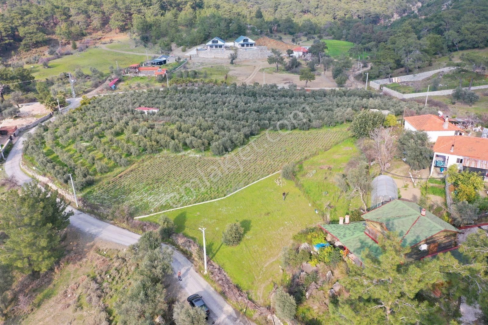 Nysa Emlak'tan Satılık Göl Ve Deniz Manzaralı Şahsi Tapu Tarla - Görsel 7