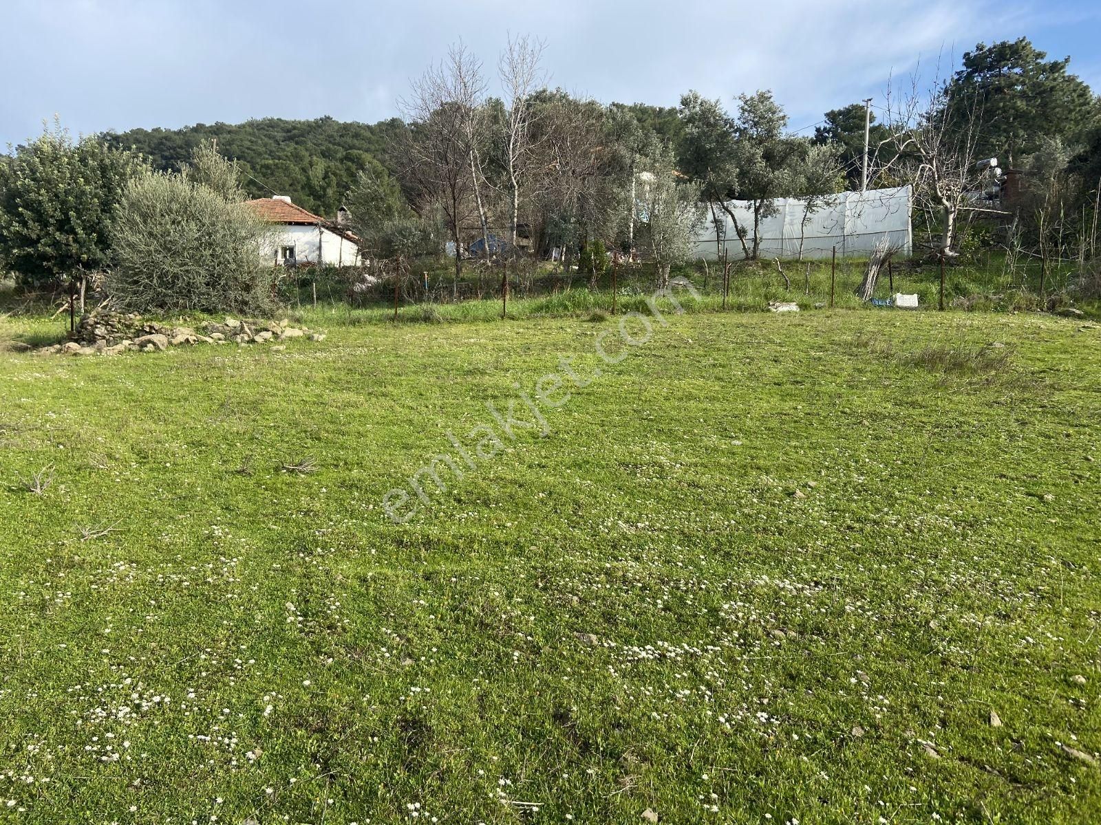 Nysa Emlak'tan Satılık Göl Ve Deniz Manzaralı Şahsi Tapu Tarla - Görsel 5