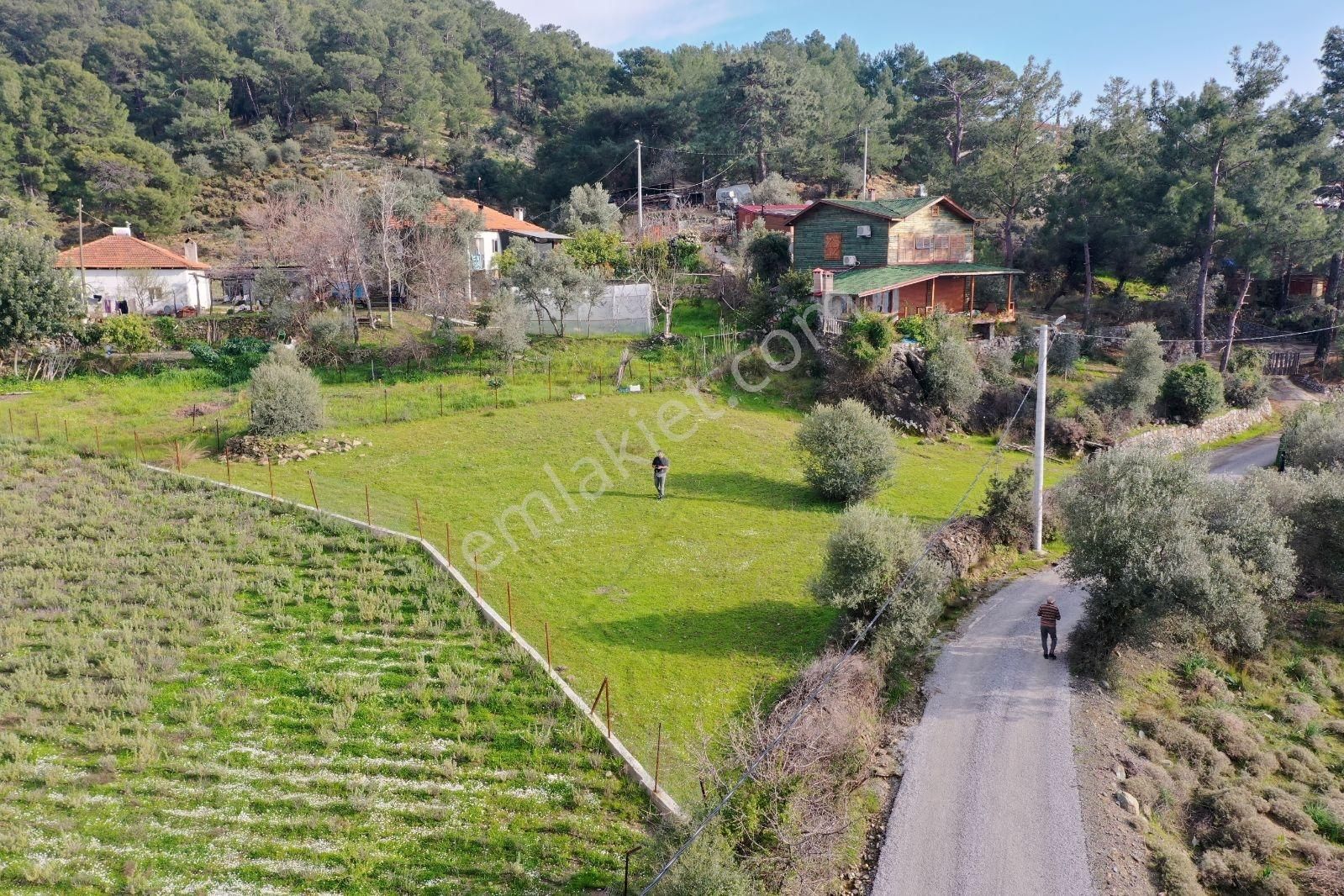Nysa Emlak'tan Satılık Göl Ve Deniz Manzaralı Şahsi Tapu Tarla - Görsel 3