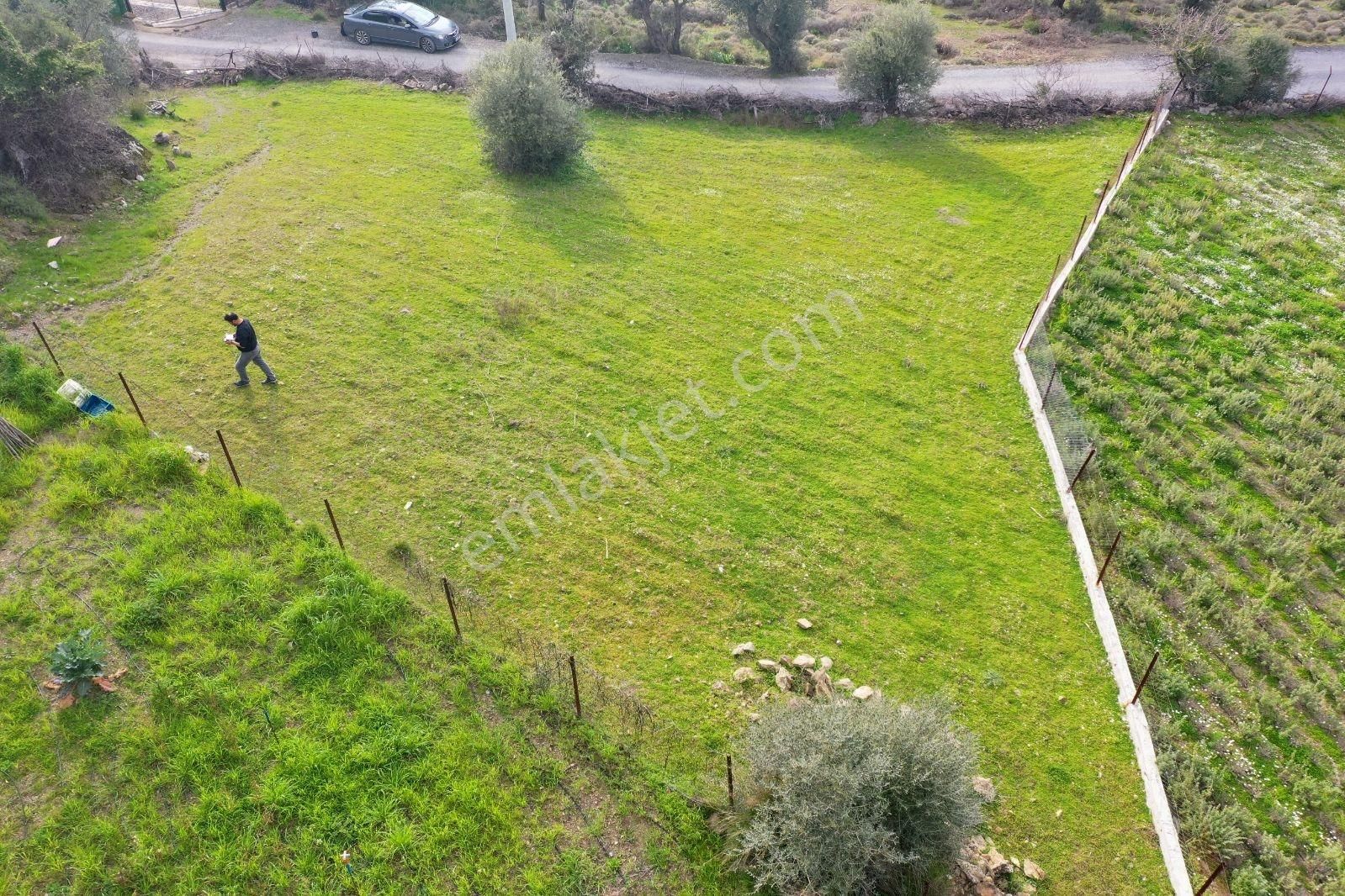 Nysa Emlak'tan Satılık Göl Ve Deniz Manzaralı Şahsi Tapu Tarla - Görsel 19