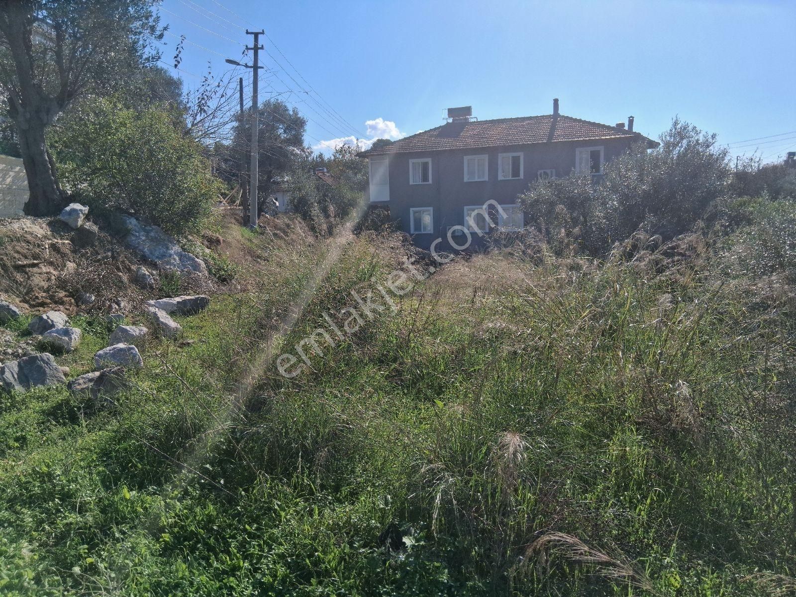 Nysa Emlak'tan Acill Zeytinalanı Mh 426 M2 Rızai Taksimli Tarla - Görsel 10