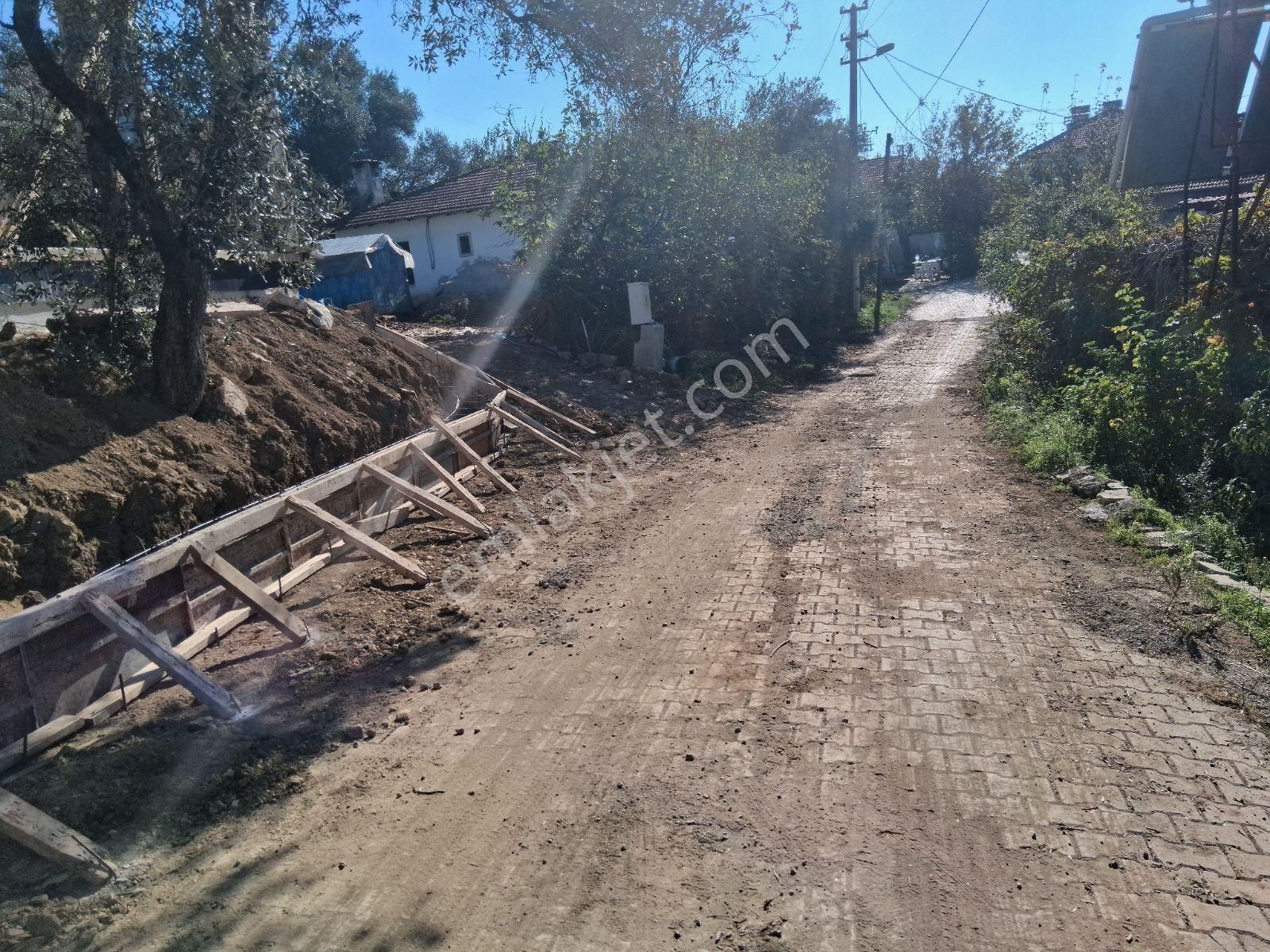 Nysa Emlak'tan Acill Zeytinalanı Mh 426 M2 Rızai Taksimli Tarla - Görsel 12