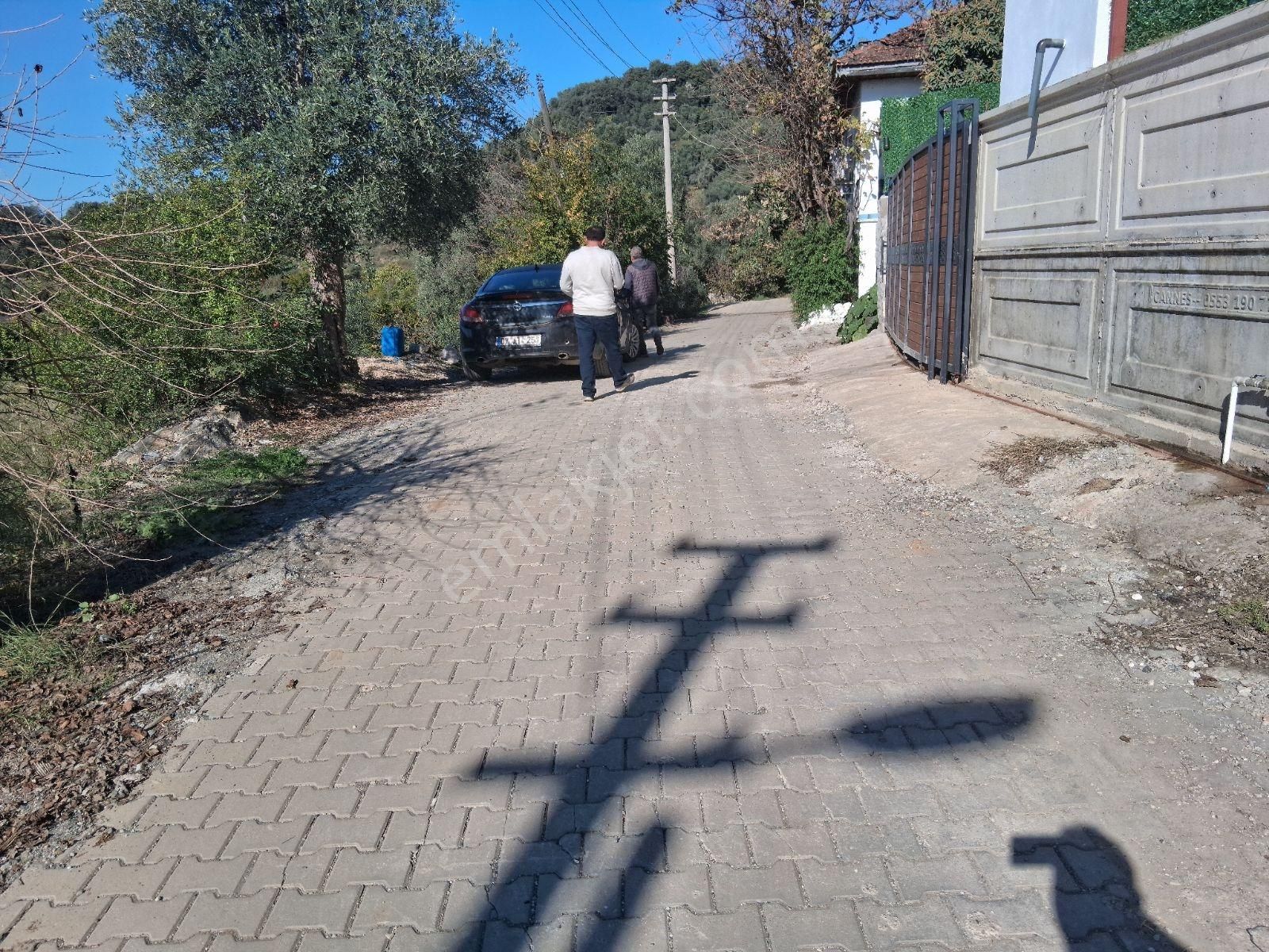 Nysa Emlak'tan Acill Zeytinalanı Mh 426 M2 Rızai Taksimli Tarla - Görsel 9