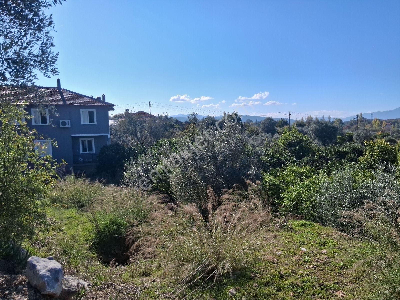 Nysa Emlak'tan Acill Zeytinalanı Mh 426 M2 Rızai Taksimli Tarla - Görsel 18