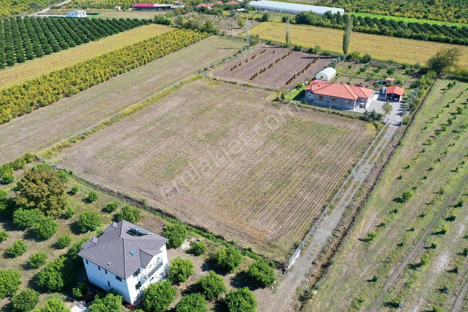 Nysa Emlak Tan 7000 M2 Satılık Rızai Taksim Li Tarla