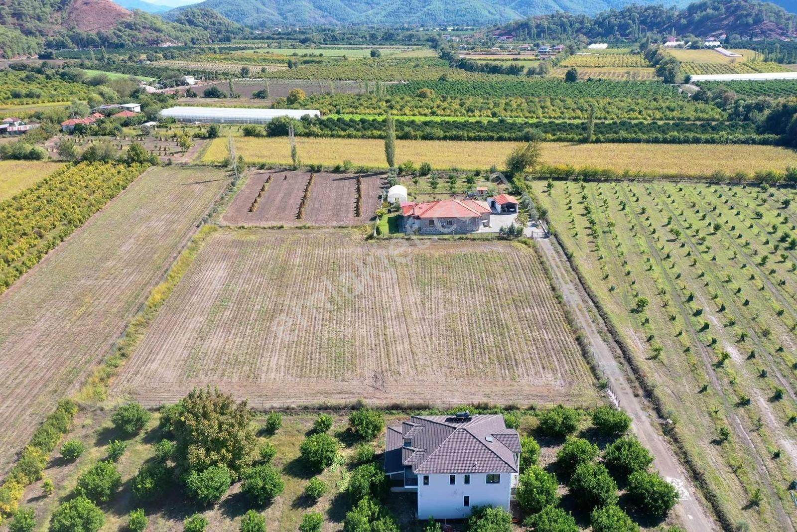 Nysa Emlak Tan 7000 M2 Satılık Rızai Taksim Li Tarla - Görsel 4