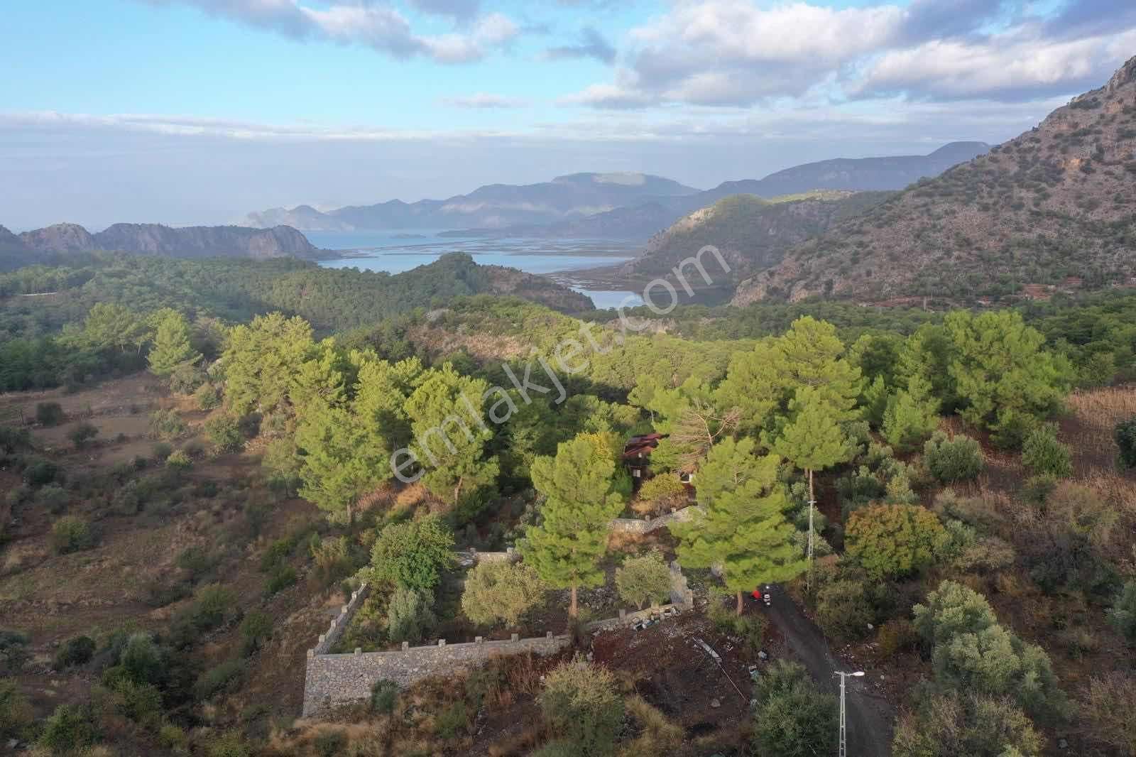 Nysa Emlak Tan Gökbel Mh Şahsi Tapu 1000 M2 Satılık Tarla - Görsel 7